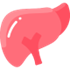 Liver Icon