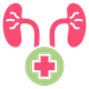 Liver Icon